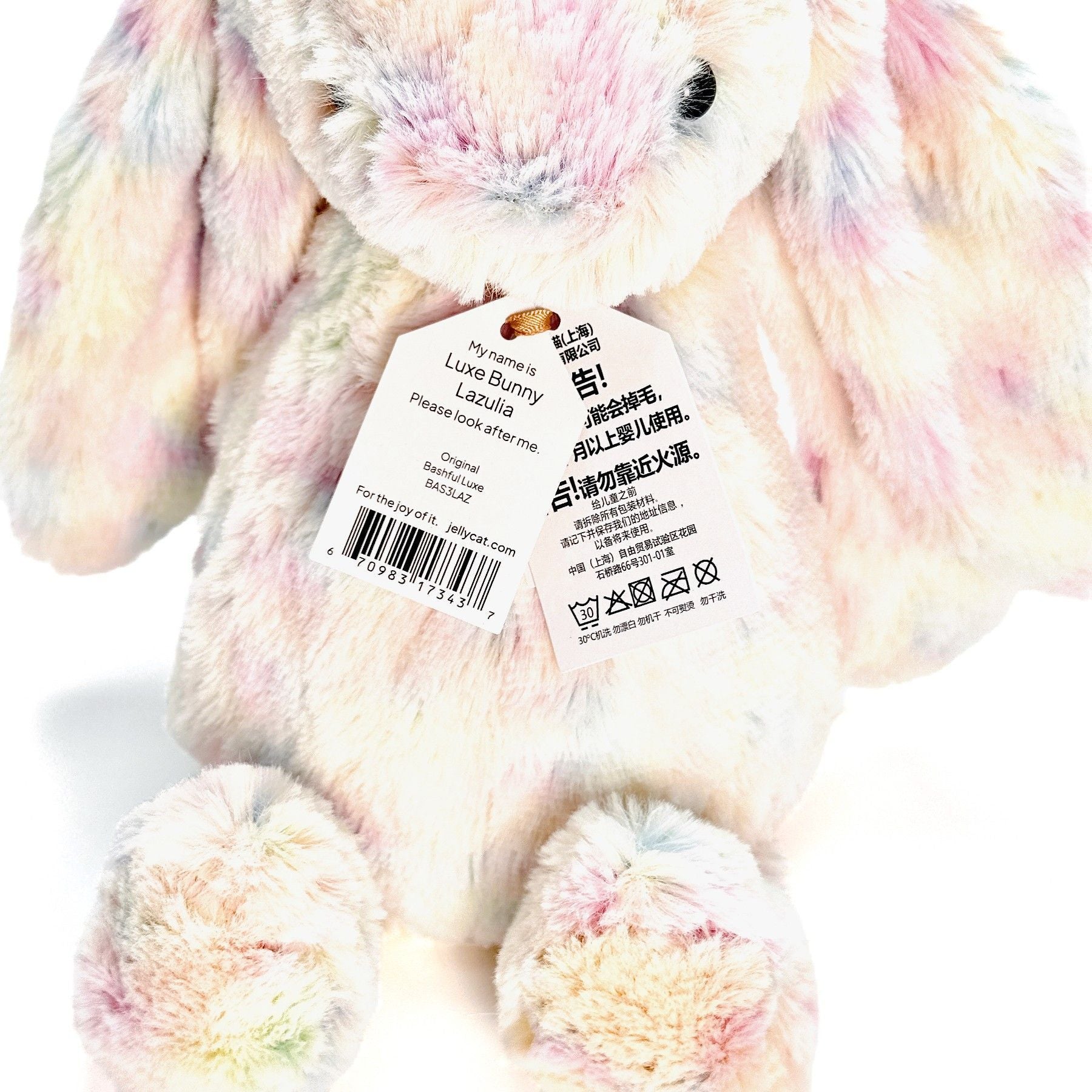 Lazulia Hase