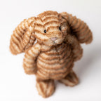 Juniper Hase