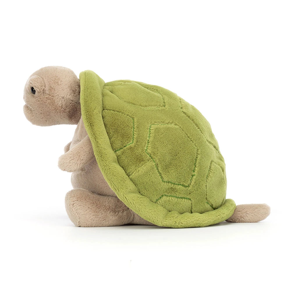 Schildkröte Timmy