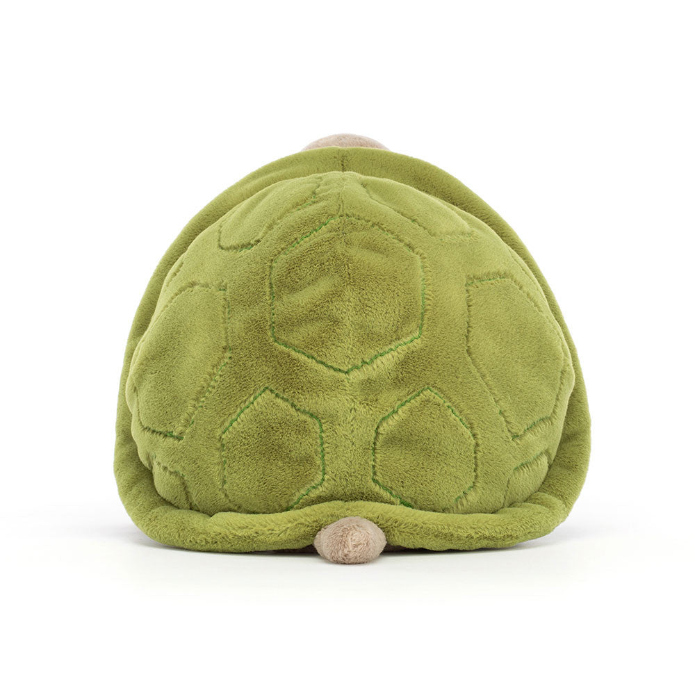 Schildkröte Timmy