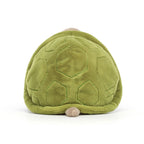 Schildkröte Timmy