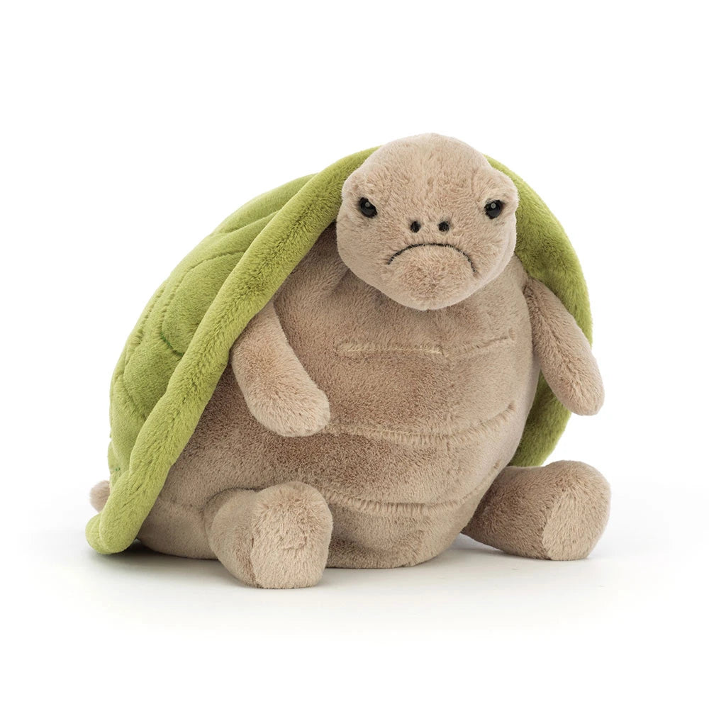 Schildkröte Timmy