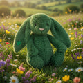 Bláthnaid Hase